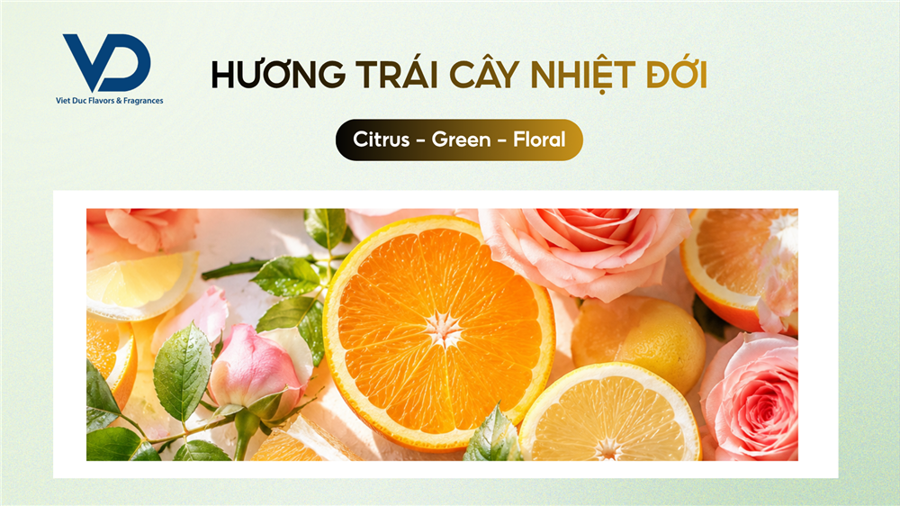 huongtraicaynhietdoi