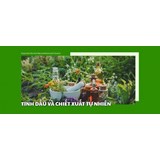 banner chiết xuất tinh dầu