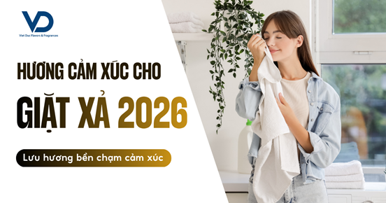 Hương Cảm Xúc Cho Nước Giặt Xả 2026